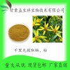 千里光提取物10:1 黄花母 九里光提取物 厂家益生祥包邮