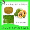番木瓜叶提取物 甘肃益生祥 木瓜叶粉  木瓜叶浸膏