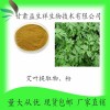 艾叶提取物10;1 艾叶提取液 艾叶粉 甘肃益生祥 现货包邮
