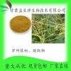 罗网藤浸膏 罗网藤浓缩汁粉 甘肃益生祥 厂家直销