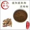 锁阳提取物  锁阳生物碱 植物浓缩粉 免煎熬 满99包邮 量大优惠