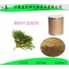 侧柏叶提取物 10:1 厂家批发 量大从优 益生祥生物 可定制规格