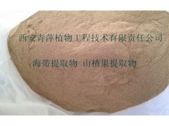 供应诺丽果提取物 6:1诺丽果粉