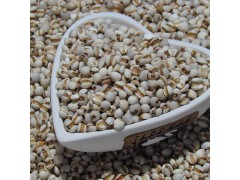 薏苡仁提取物 供应多种规格 厂家直销 现货包邮 昌岳生物