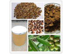 益智仁提取物  厂家直销  现货包邮