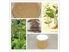 昌岳生物现货包邮玄参提取物  玄参甙