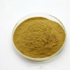 海金沙提取物10:1 植物浓缩粉 100g/袋现货量大优惠