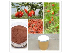 枸杞子提取物  枸杞多糖  昌岳生物现货包邮