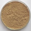 龙胆提取物10:1 植物浓缩粉 100g/袋现货量大优惠