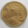 冬瓜皮提取物10:1 植物浓缩粉 100g/袋现货量大优惠