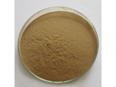香附提取物10:1 植物浓缩粉 100g/袋现货量大优惠