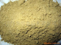 小茴香提取物  多种规格  厂家直销  现货 包邮