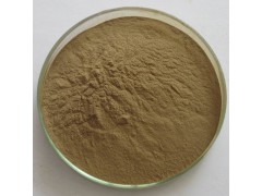 猫须草提取物10:1 植物浓缩粉 100g/袋现货量大优惠