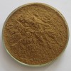 莱菔子提取物10:1 植物浓缩粉 100g/袋现货量大优惠