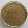 木贼提取物10:1 植物浓缩粉 100g/袋现货量大优惠