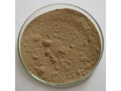 猪苓提取物10:1 植物浓缩粉 100g/袋现货量大优惠