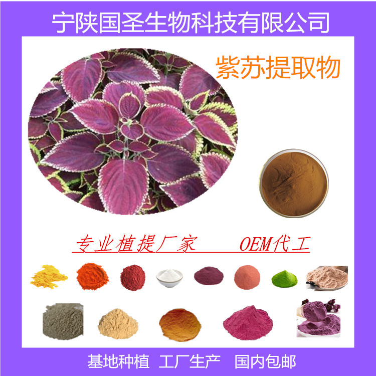 紫苏图片