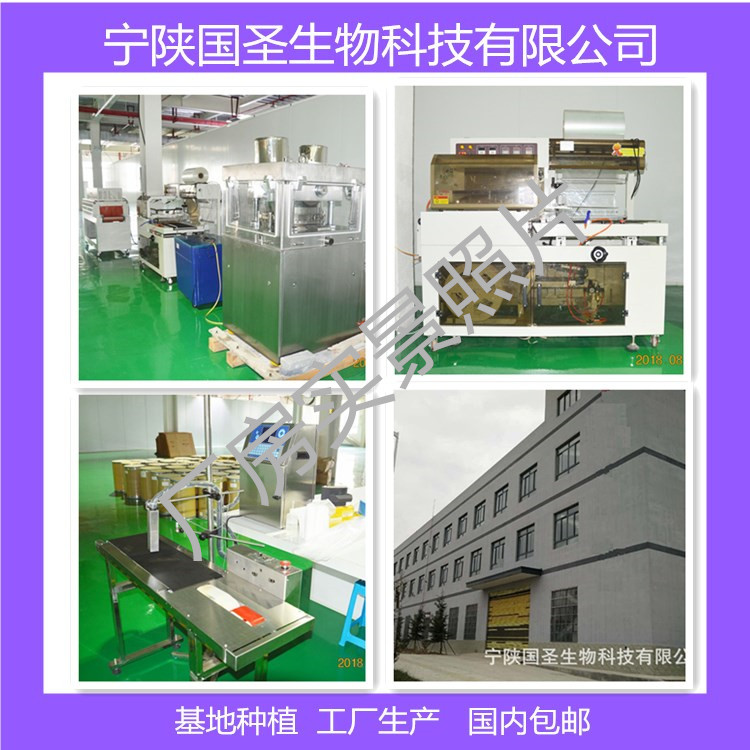 厂房实景1