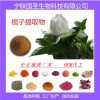 栀子提取物 厂家现货 包邮