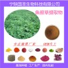 鱼腥草提取物 甾醇  优质材料 厂家直供