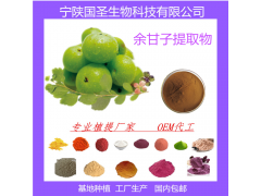 余甘子提取物 厂家现货  包邮
