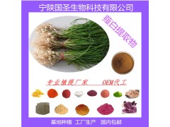 薤白提取物 薤白浓缩汁 厂家现货