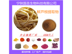 鲜芦根提取物 厂家直供