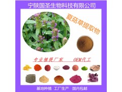 夏菇草提取物 浓缩汁 厂家现货