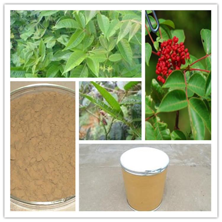 吴茱萸提取物  厂家直销 现货包邮  昌岳生物