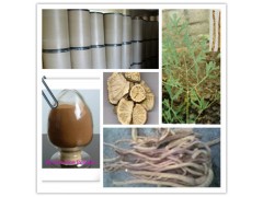 防风提取物  多种规格供应 厂家现货包邮