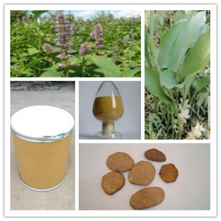 莪术提取物 厂家现货供应  比例提取  包邮 昌岳生物