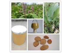 莪术提取物 厂家现货供应  比例提取  包邮 昌岳生物