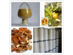 陈皮提取物  厂家直销  现货包邮