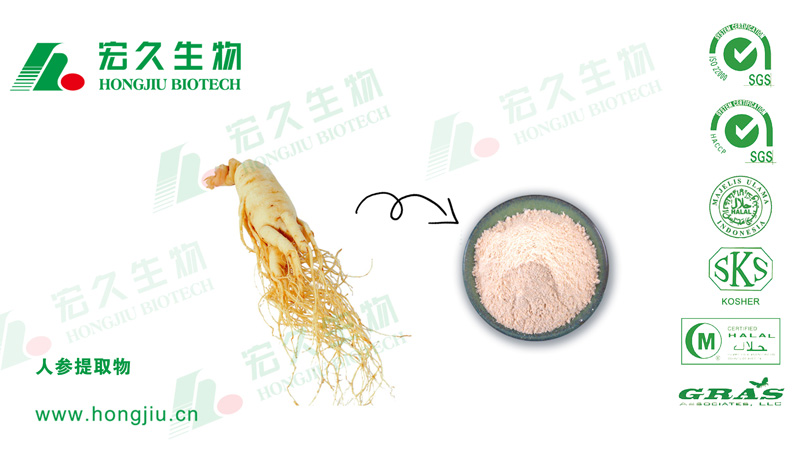 1 产品照片 人参提取物