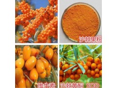 沙棘酵素 沙棘酵素粉 宁夏凯源生物 1公斤起订 长期供应