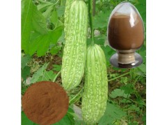 苦瓜提取物苦瓜酵素粉宁夏凯源生物 1公斤起订 长期供应