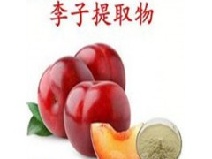 李子酵素 李子酵素粉 宁夏凯源生物 1公斤起订 长期供应