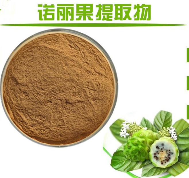 诺丽果酵素 诺丽果酵素粉 1公斤起订 欢迎采购