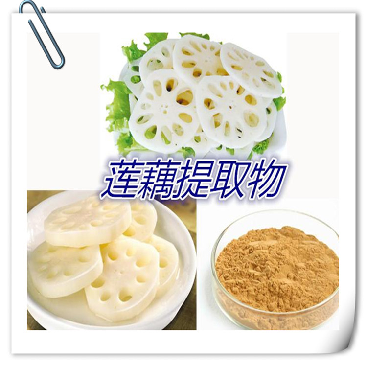 莲藕粉 宁夏凯源生物 莲藕原粉  莲藕提取物 1公斤起订