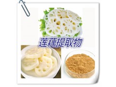 莲藕粉 宁夏凯源生物 莲藕原粉  莲藕提取物 1公斤起订