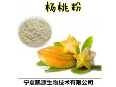 杨桃提取物 杨桃速溶粉 杨桃浓缩汁 1公斤起订