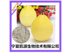 雪梨粉 雪梨速溶粉 10:1 UV检测 1公斤起订