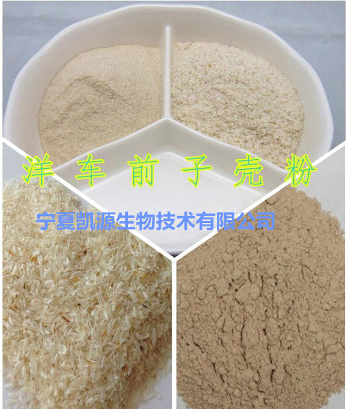热销洋车前子壳粉 车前子提取物  现货包邮