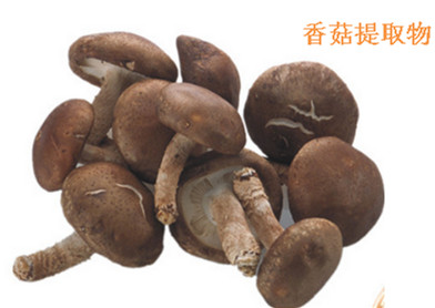 热销香菇膳食纤维粉香菇纤维粉包邮