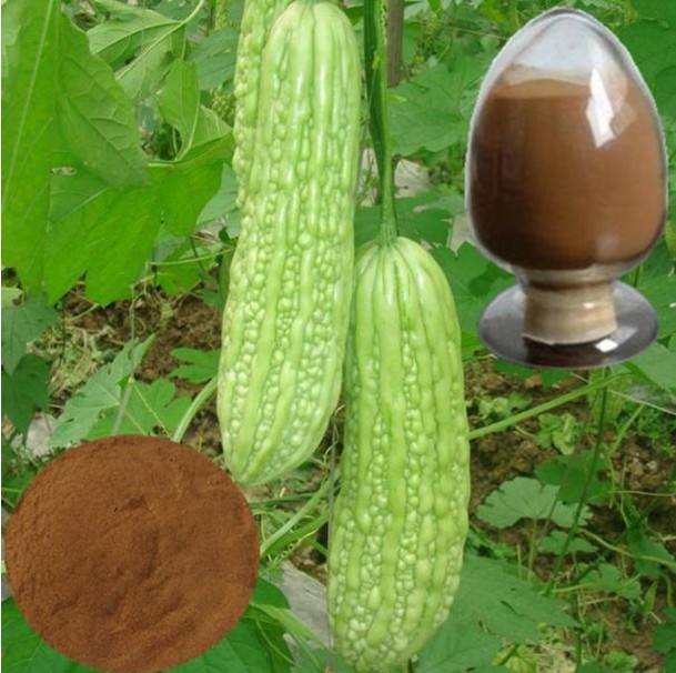 苦瓜提取物苦瓜酵素粉宁夏凯源生物 1公斤起订 长期供应
