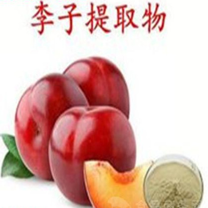 李子酵素李子酵素粉宁夏凯源生物1公斤起订长期供应