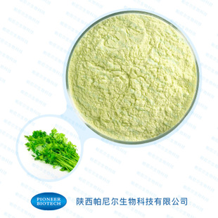 热销芹菜梗提取物10:1多种规格1公斤起订
