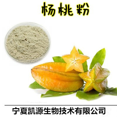 杨桃提取物 杨桃速溶粉 杨桃浓缩汁 1公斤起订