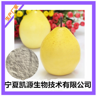 热销雪梨粉雪梨速溶粉10:1 UV检测1公斤起订