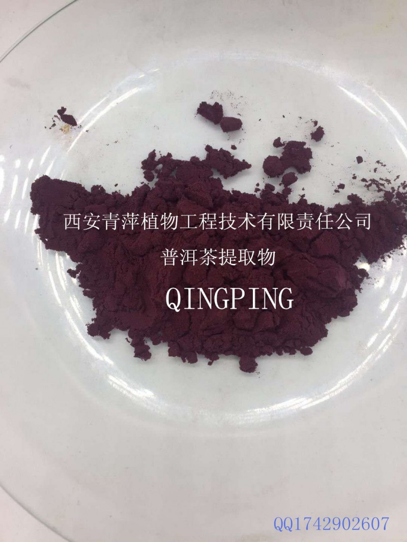 供应普洱茶提取物 6:1 茶多酚10%